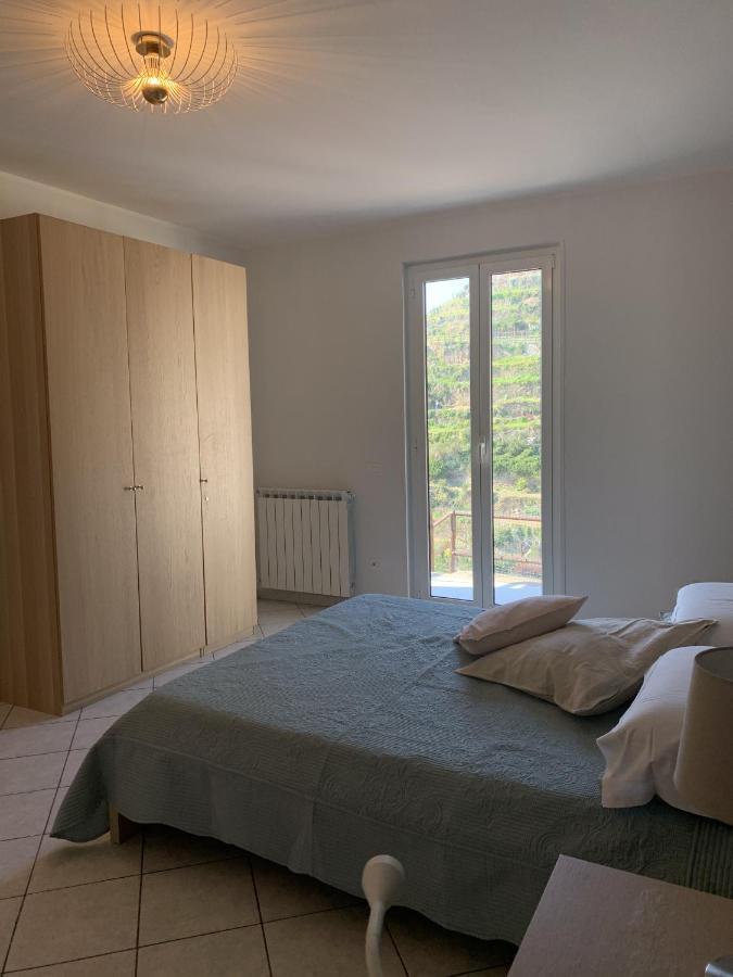 Orizzonti Apartments Manarola Eksteriør billede