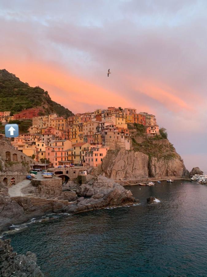 Orizzonti Apartments Manarola Eksteriør billede