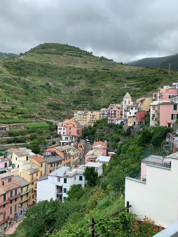 Orizzonti Apartments Manarola Eksteriør billede